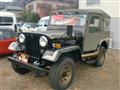 1989 Mitsubishi Jeep