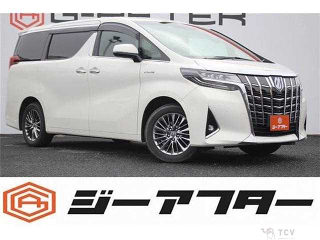 2020 Toyota Alphard G