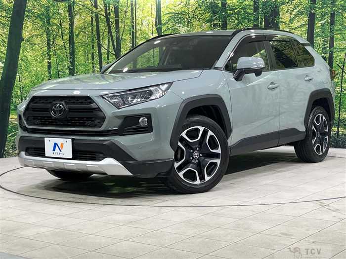 2019 Toyota RAV4