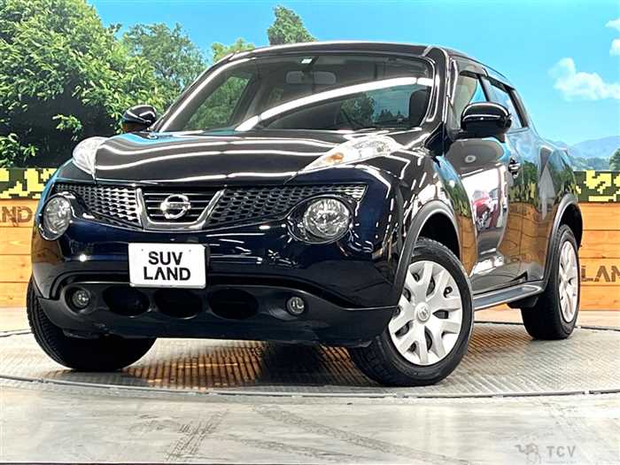 2013 Nissan Juke