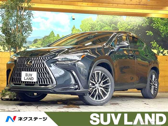 2023 Lexus NX