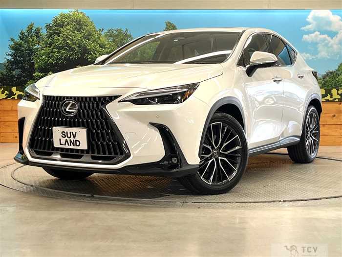 2023 Lexus NX