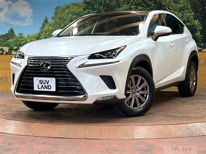 2017 Lexus NX