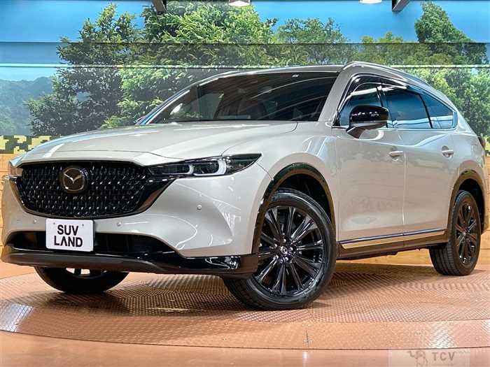 2023 Mazda CX-8