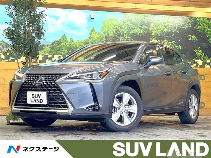 2019 Lexus Other