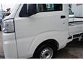 2019 Daihatsu Hijet Truck