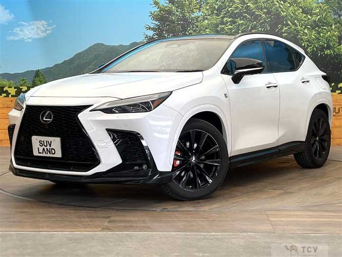 2022 Lexus NX