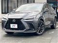 2024 Lexus NX