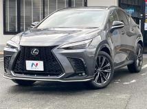 2024 Lexus NX
