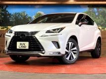 2020 Lexus NX