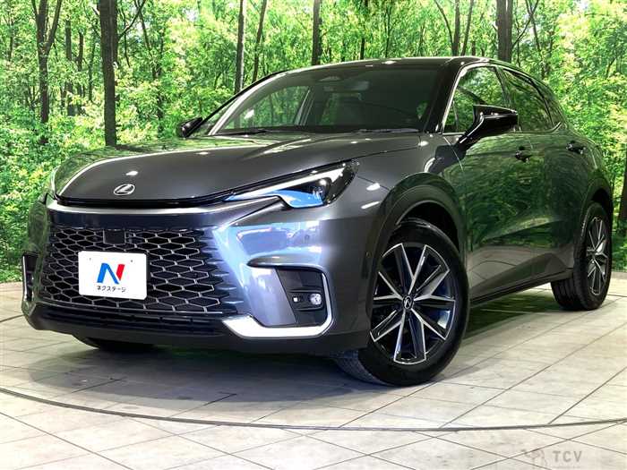2024 Lexus Other
