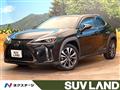 2019 Lexus Other
