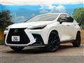2021 Lexus NX