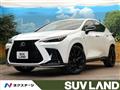 2021 Lexus NX