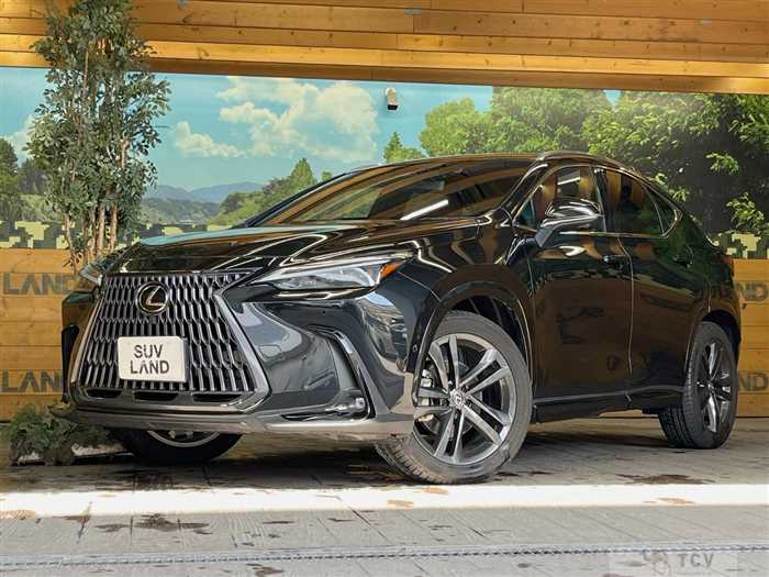 2023 Lexus NX