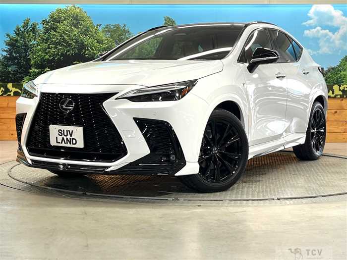 2023 Lexus NX