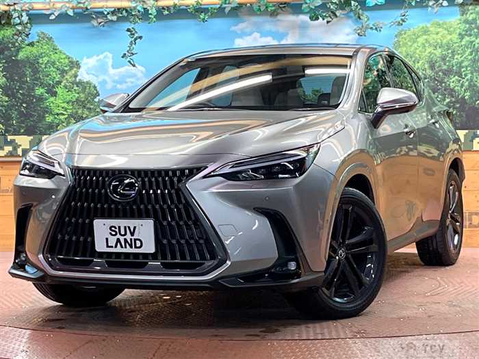 2024 Lexus NX