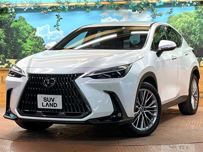 2023 Lexus NX