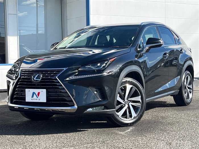 2019 Lexus NX