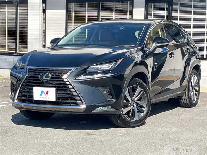 2020 Lexus NX