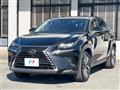 2020 Lexus NX