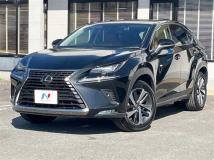 2020 Lexus NX