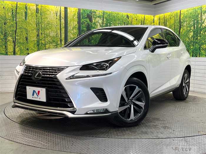 2021 Lexus NX
