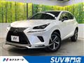 2021 Lexus NX