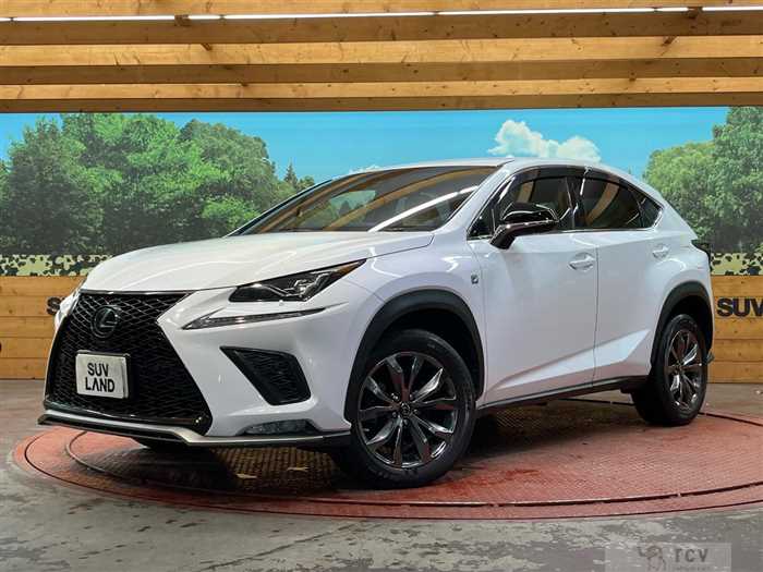 2019 Lexus NX