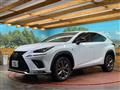 2019 Lexus NX