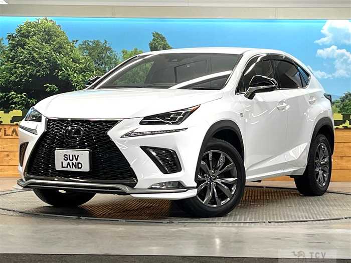 2019 Lexus NX