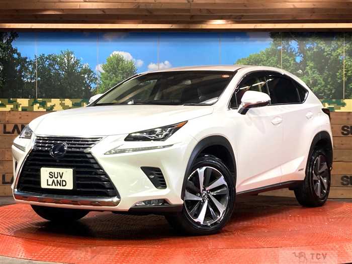 2018 Lexus NX