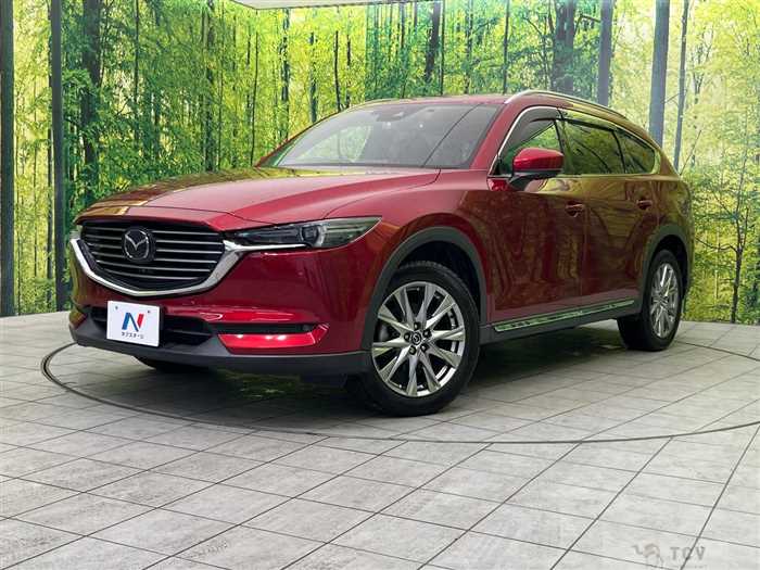 2018 Mazda CX-8