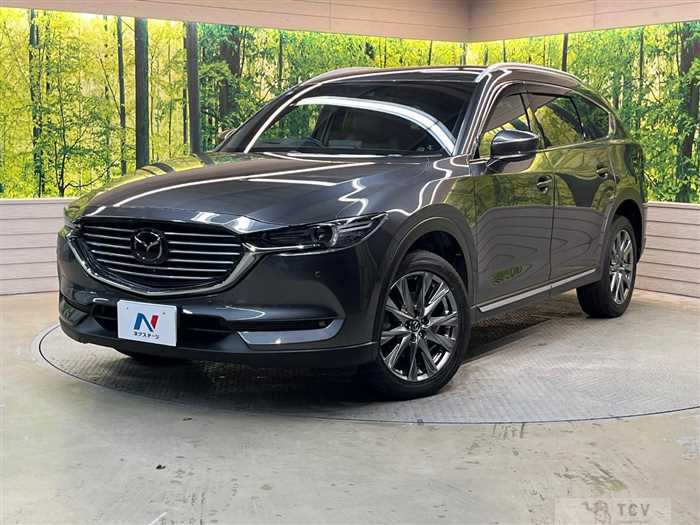 2019 Mazda CX-8