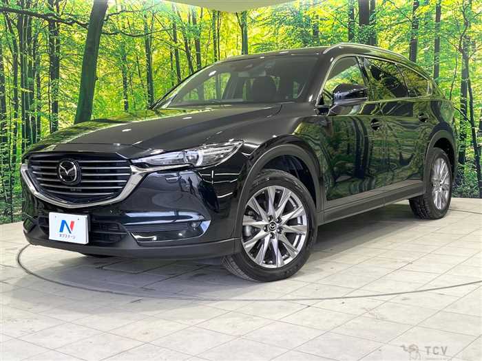 2019 Mazda CX-8