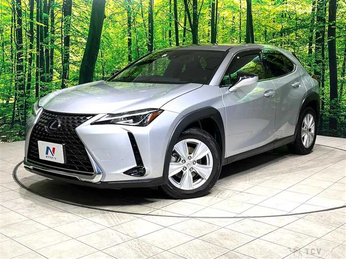 2019 Lexus Other