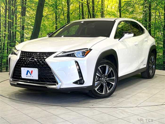 2020 Lexus Other