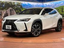 2023 Lexus Other