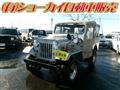 1996 Mitsubishi Jeep