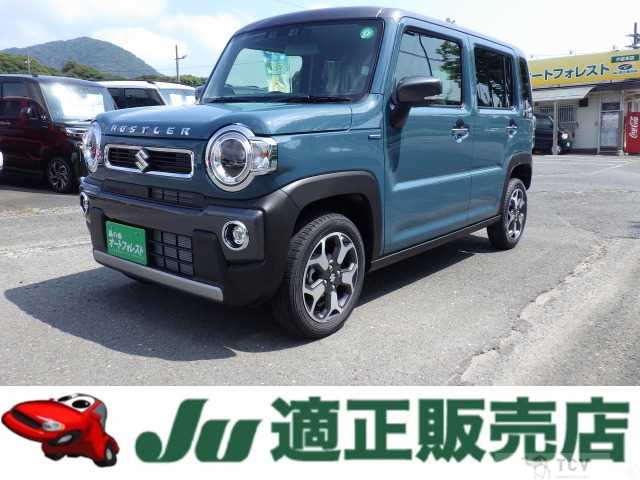 2024 Other All Other All