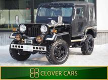 1996 Mitsubishi Jeep