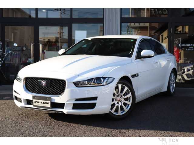 2019 Other All Other All