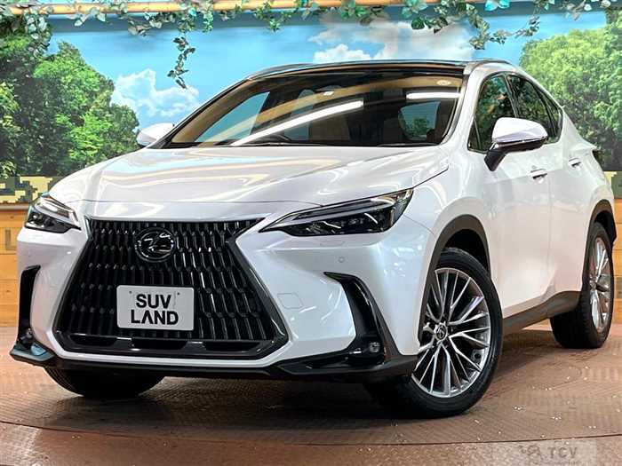 2023 Lexus NX