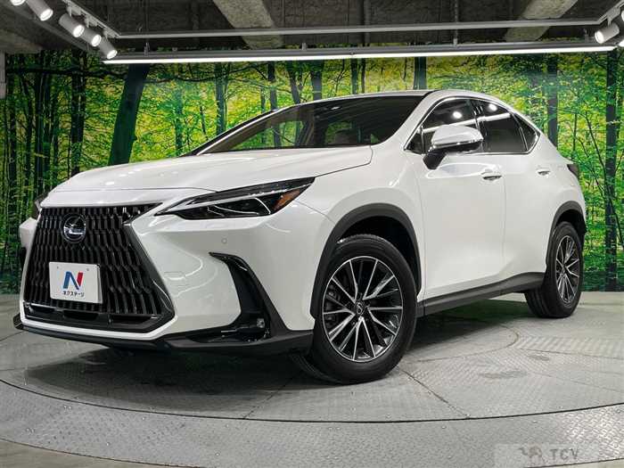 2023 Lexus NX