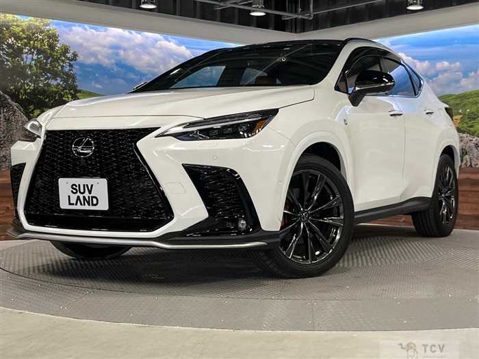 2023 Lexus NX