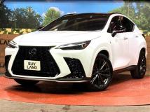 2023 Lexus NX