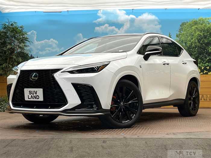 2023 Lexus NX