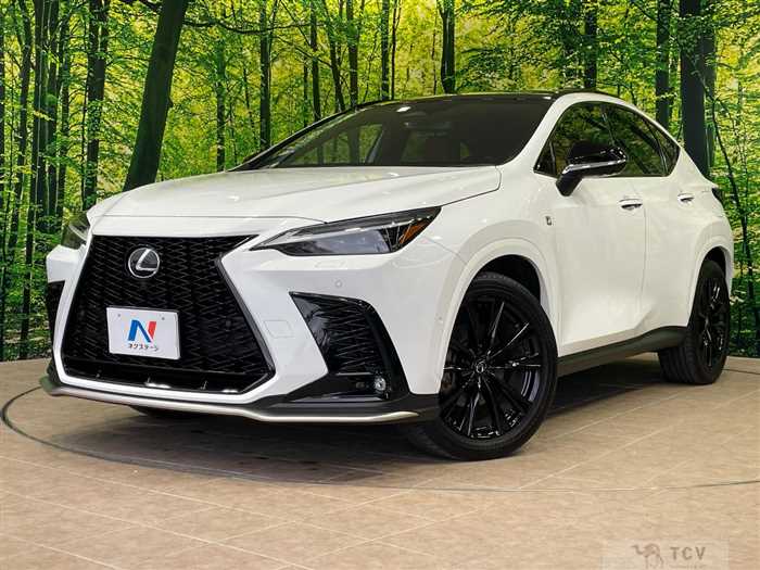 2023 Lexus NX
