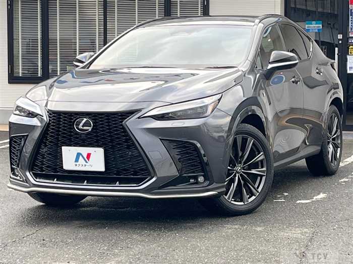 2024 Lexus NX