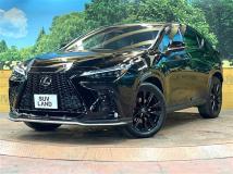 2024 Lexus NX